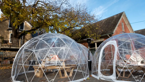 Новый дизайн 4-10 человек 850г ПВХ ткань Glamping Dome Room Luxury Tents
